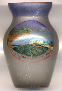 2991 Santa Catalina Island