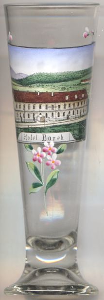 4503 Zbiroh: Hotel Borek